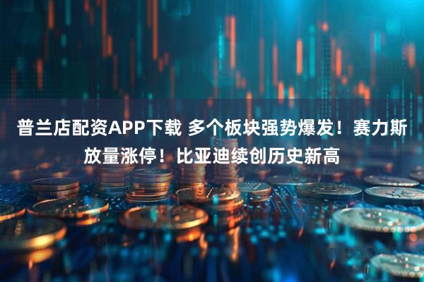 普兰店配资APP下载 多个板块强势爆发！赛力斯放量涨停！比亚迪续创历史新高