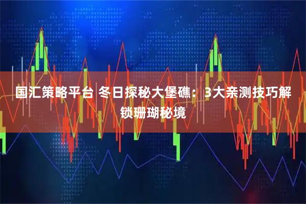 国汇策略平台 冬日探秘大堡礁：3大亲测技巧解锁珊瑚秘境